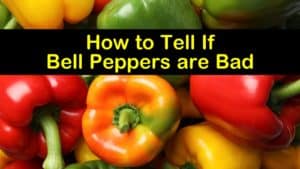 how to tell if bell peppers are bad titleimg1