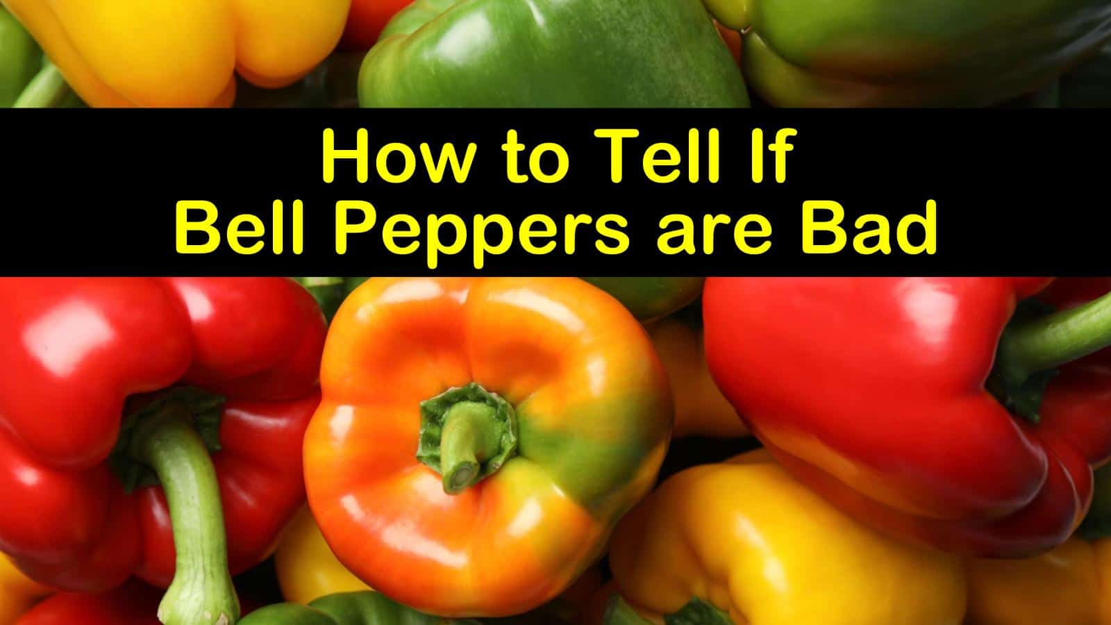 Do Peppers Go Bad? What To Look For