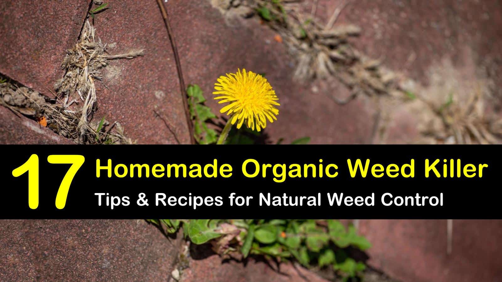 organic weed killer titleimg1