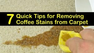 removing coffee stains from carpet titleimg1