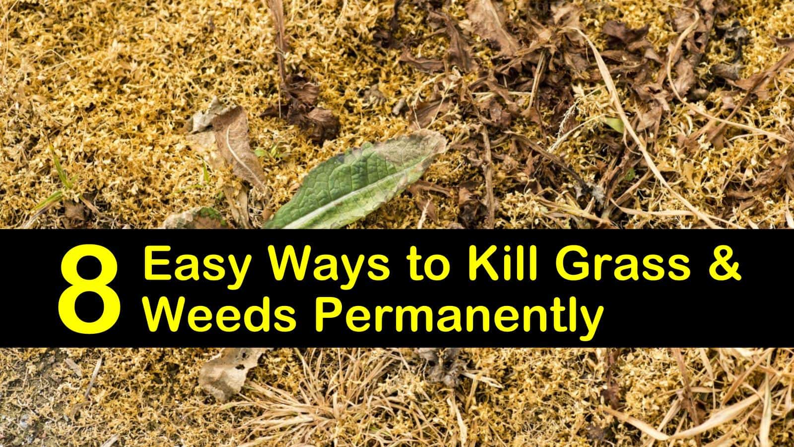 8 Easy Ways To Kill Grass And Weeds Permanently