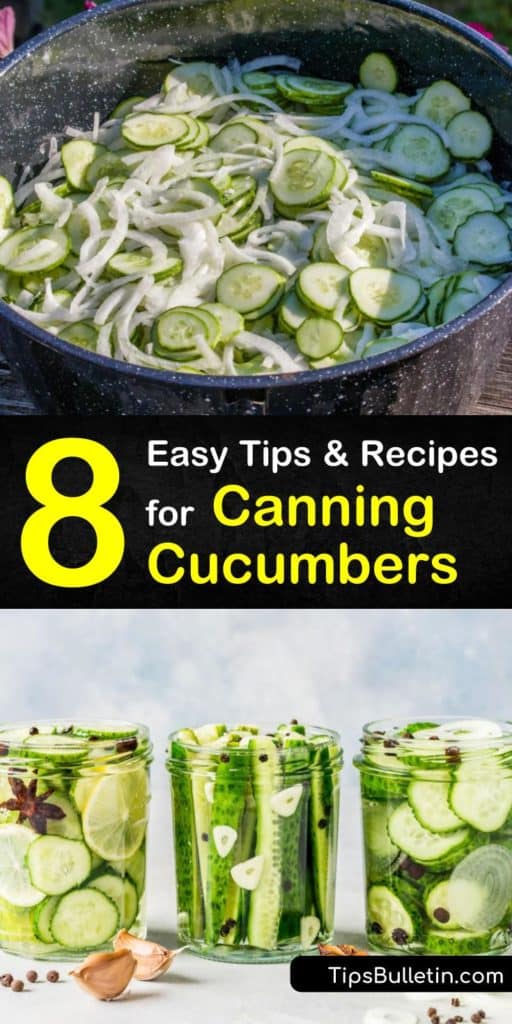 8 Easy Tips & Recipes for Canning Cucumbers