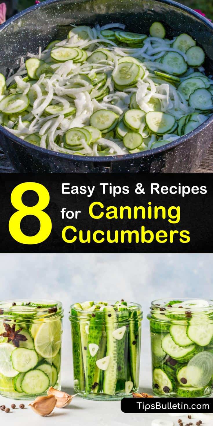 Learn how to make pickles with these easy cucumber canning recipes! Whether you like sweet or spicy pickles, there’s a recipe for you. All you need is a few simple ingredients like white vinegar, garlic, and dill, and you’ll have pickles in no time. #canning #cucumber #pickles