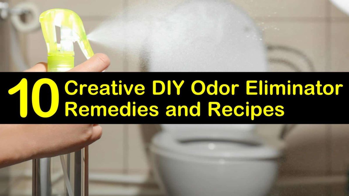 10 Creative DIY Odor Eliminator Remedies and Recipes