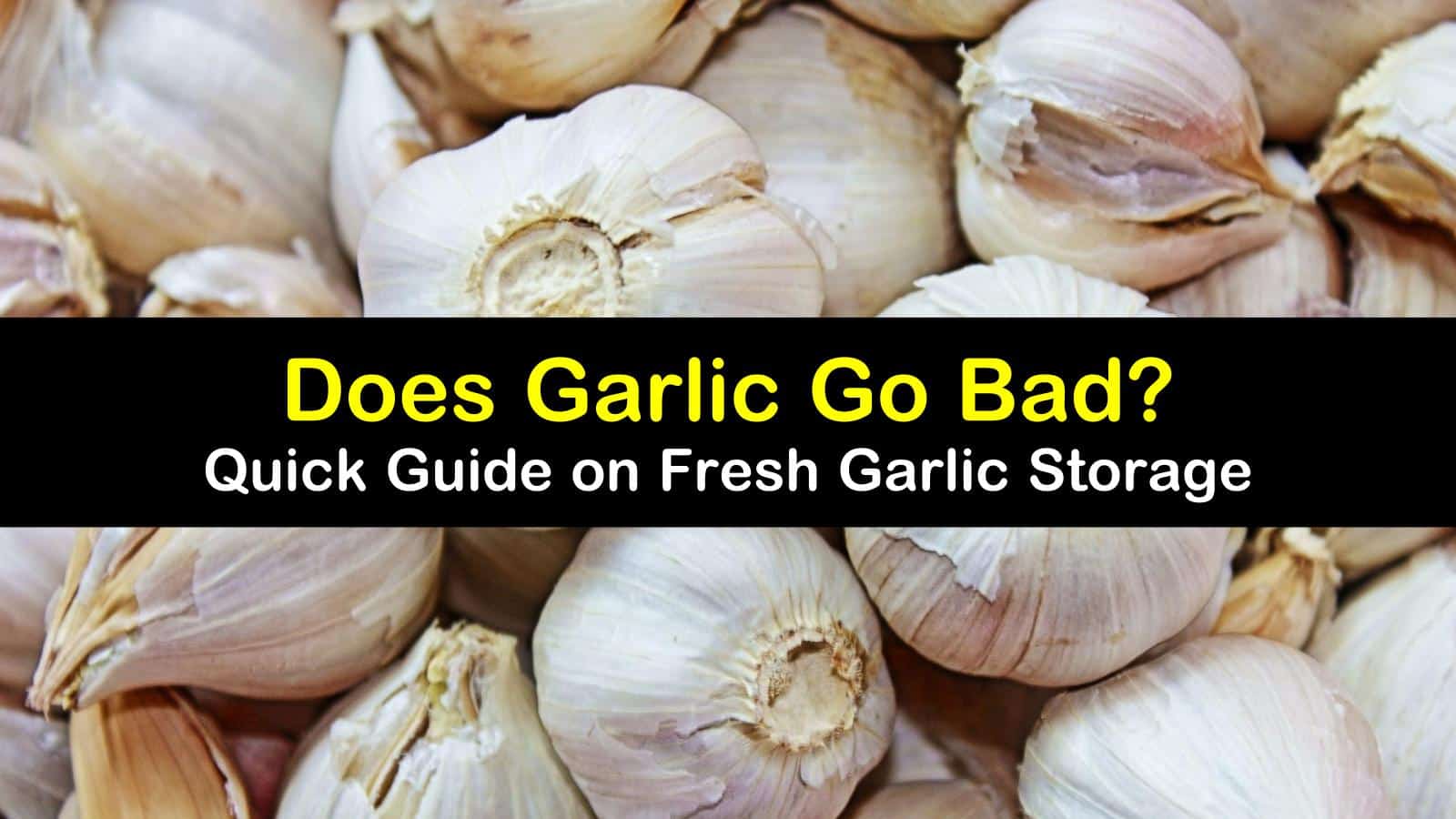 does garlic go bad titleimg1