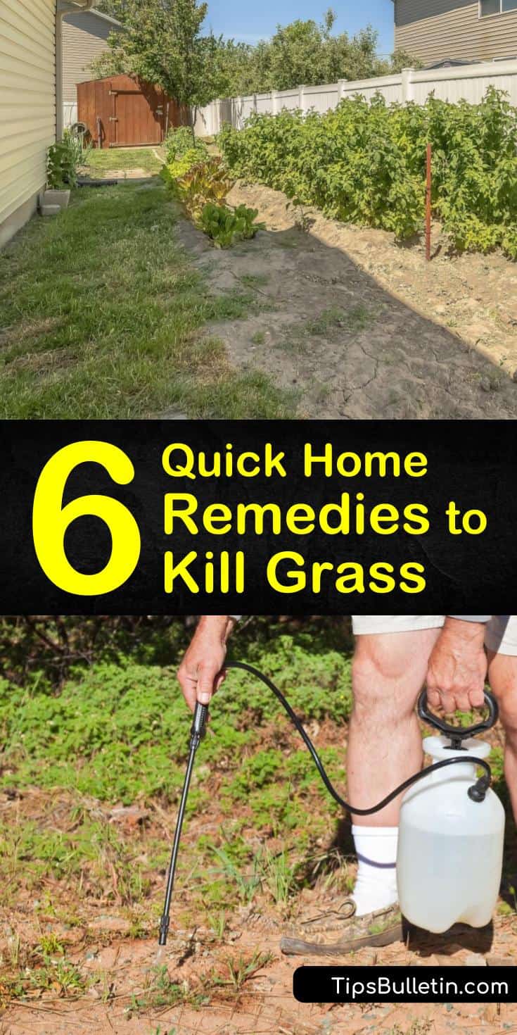 Permanently kill grass and weeds in driveway or in flower beds with vinegar and a few other household items. Vinegar naturally kills grasses and weeds fast enough to see results in a few hours. #killgrass #remedy #diygrasskiller
