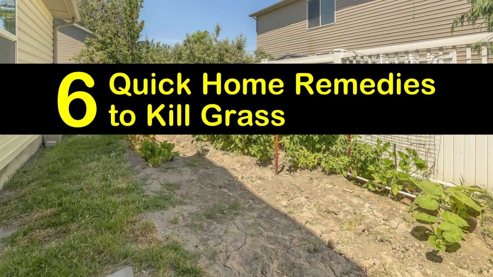 home remedies to kill grass titleimg1