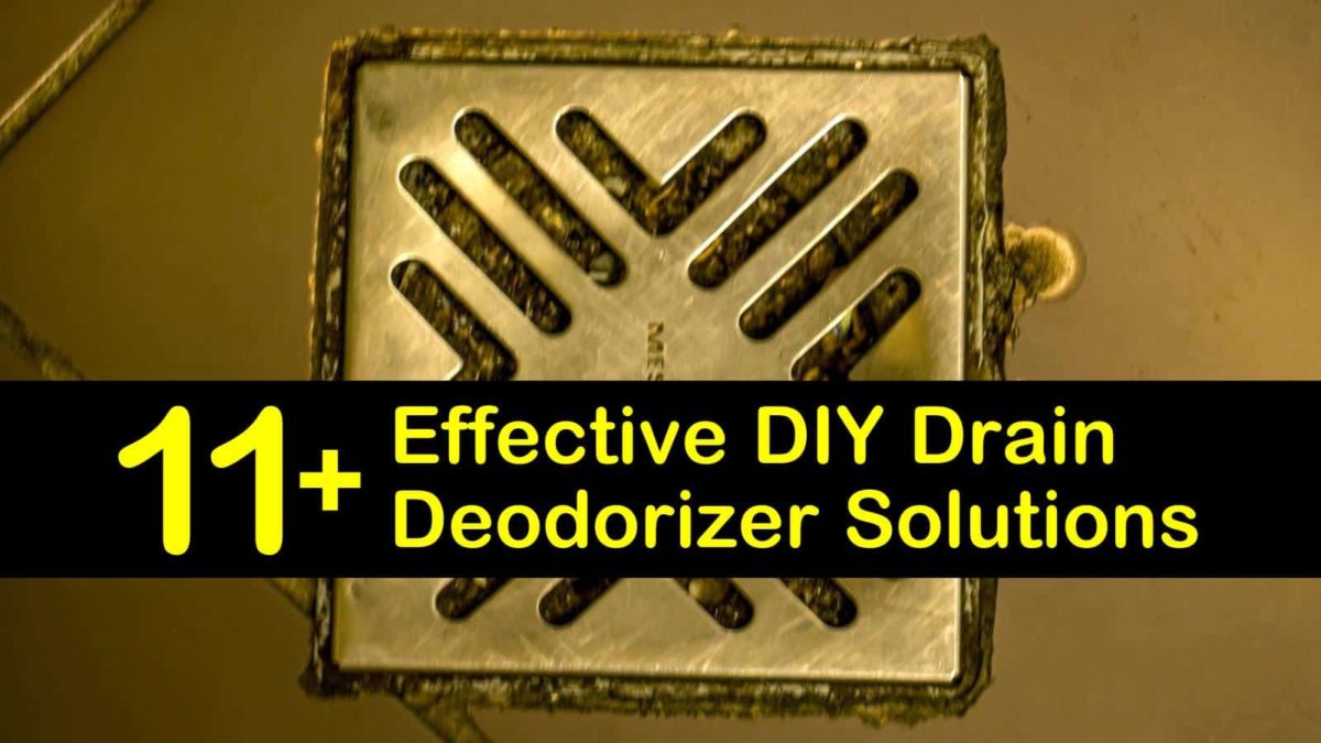 11+ Effective DIY Drain Deodorizer Solutions