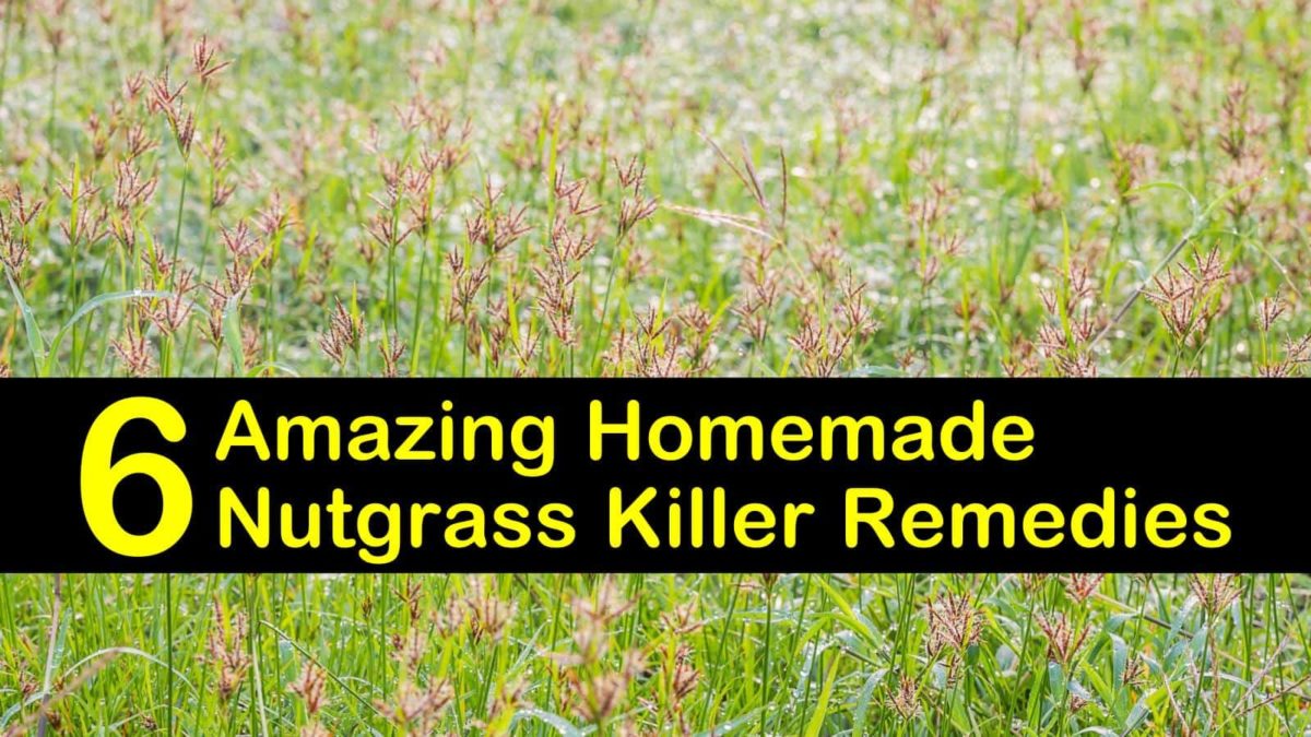Razor weed killer