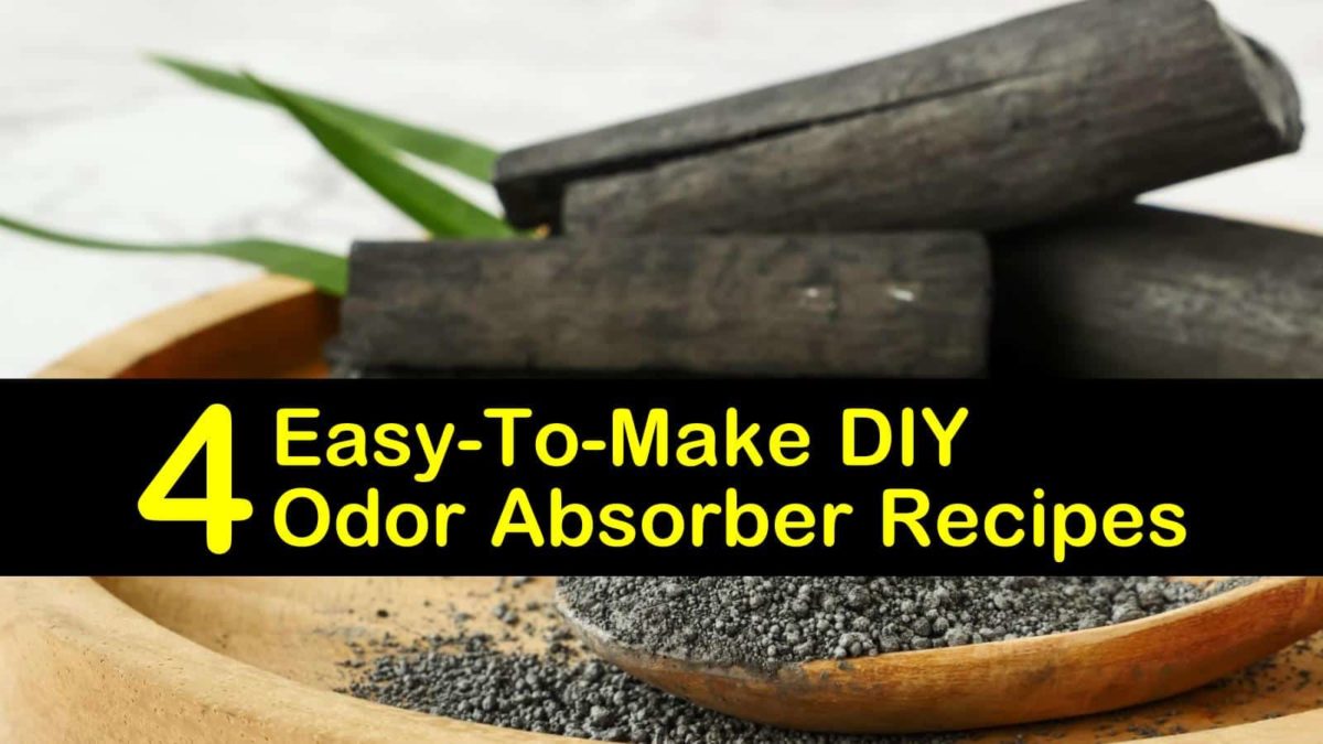 4 EasytoMake DIY Odor Absorber Recipes