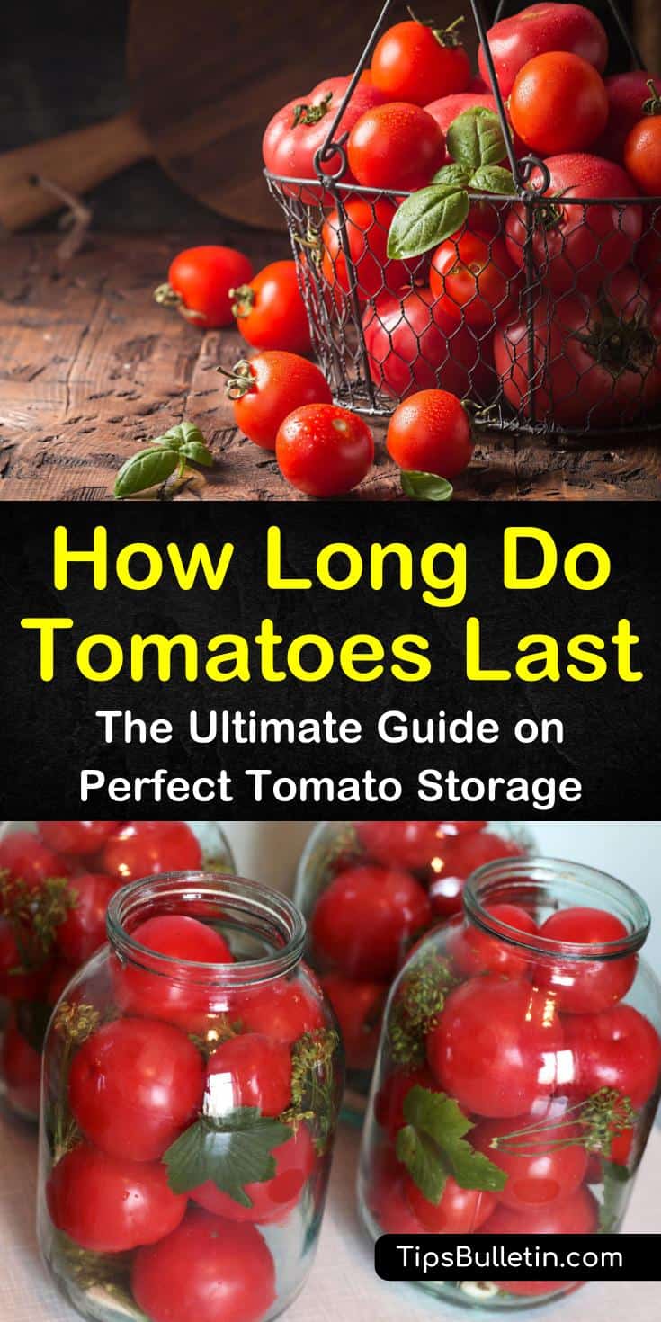 Learn how to store tomatoes from the farmer’s market on the countertop and how to refrigerate, freeze, and can tomatoes for long term storage. For unripe tomatoes, place them in a paper bag and store them in a dark place. #tomatoes #last #shelflife