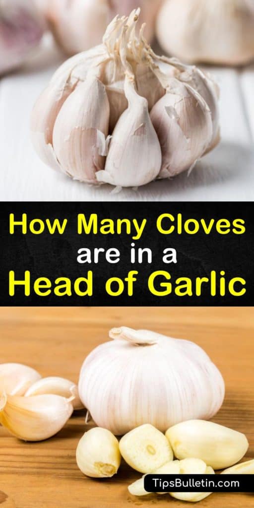 Learn how much is a clove of garlic in our handy guide. We show you how to substitute fresh garlic for powder and teach you how to determine how much minced garlic to add in place of flakes. #garlic #garliccloves #headofgarlic #garlicbulb