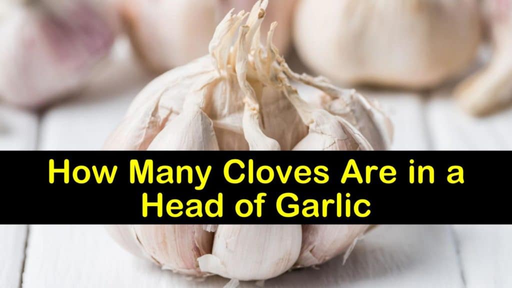 how much is a clove of garlic titleimg1