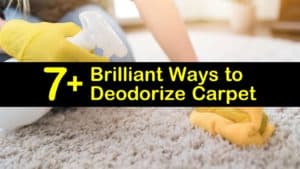 how to deodorize carpet titleimg1