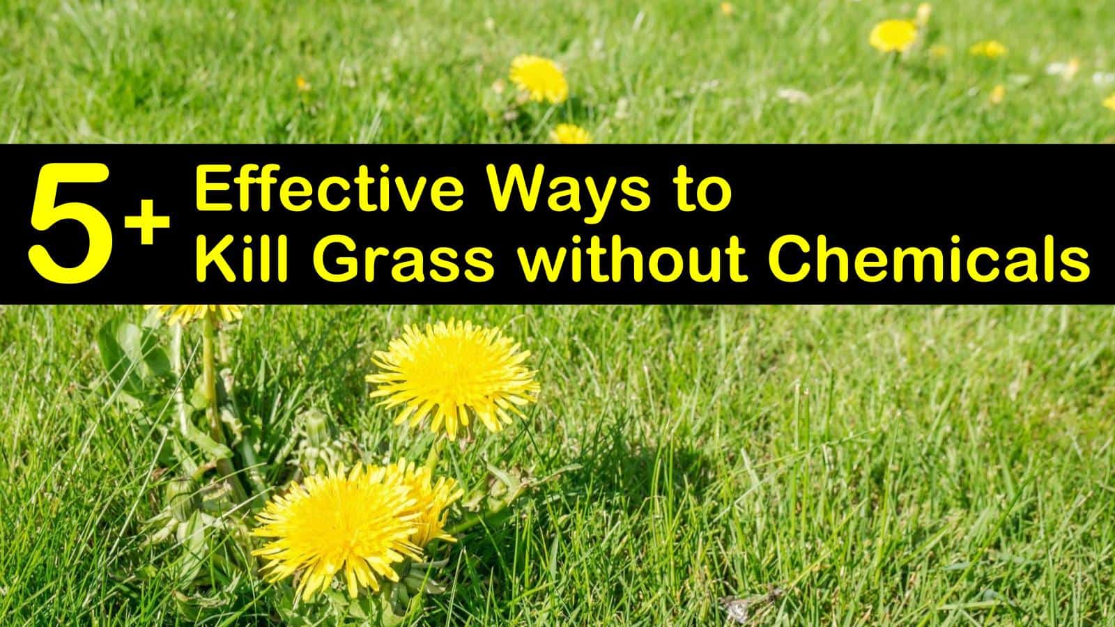 how to kill grass without chemicals titleimg1