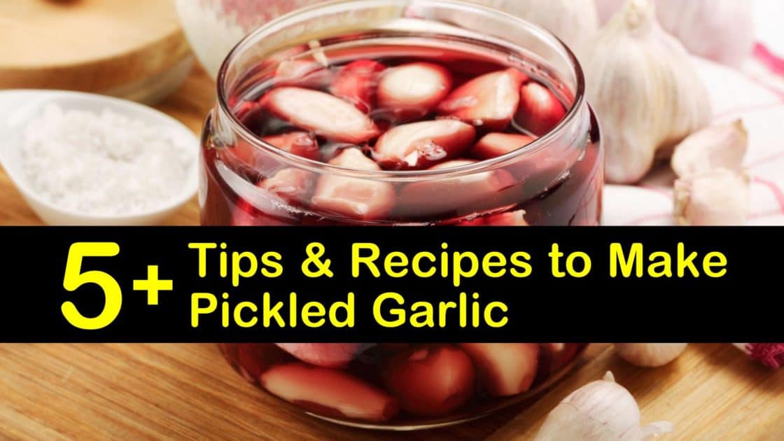 5+ Simple Recipes to Make Pickled Garlic