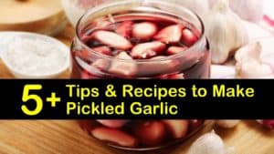 how to make pickled garlic titleimg1