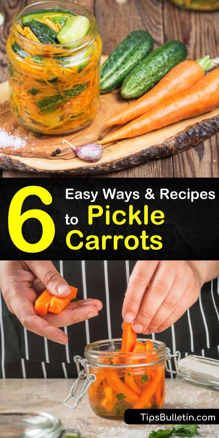 Learn how to pickle carrots and veggies with white vinegar or cider vinegar and mustard seeds. Peel a red onion, throw in some jalapenos and make Mexican style pickled carrots to add zest to your favorite meal. #howtopicklecarrots #pickledcarrots #recipe