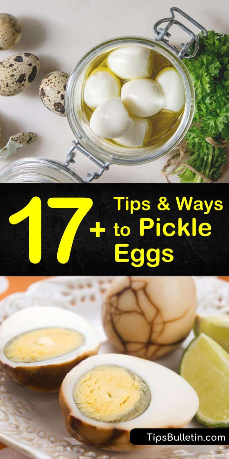 Learn how to make hard boiled eggs into easy pickled eggs using old fashioned canning and refrigeration. Our recipes allow you to pickle eggs with apple cider vinegar or white vinegar based on personal preference. #pickledeggs #pickleeggs #picklingeggs