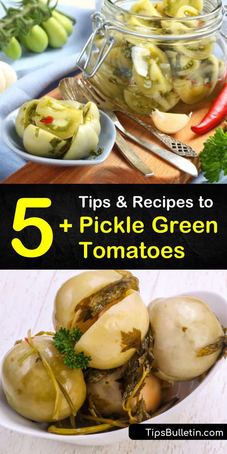 Learn how to make green tomato pickles with white vinegar, garlic cloves, mustard seeds, and cherry tomatoes. Preserve and enjoy green tomatoes all year round by using a water bath canner or making refrigerator pickles. #pickle #greentomatoes #howtopickle #tomatoes
