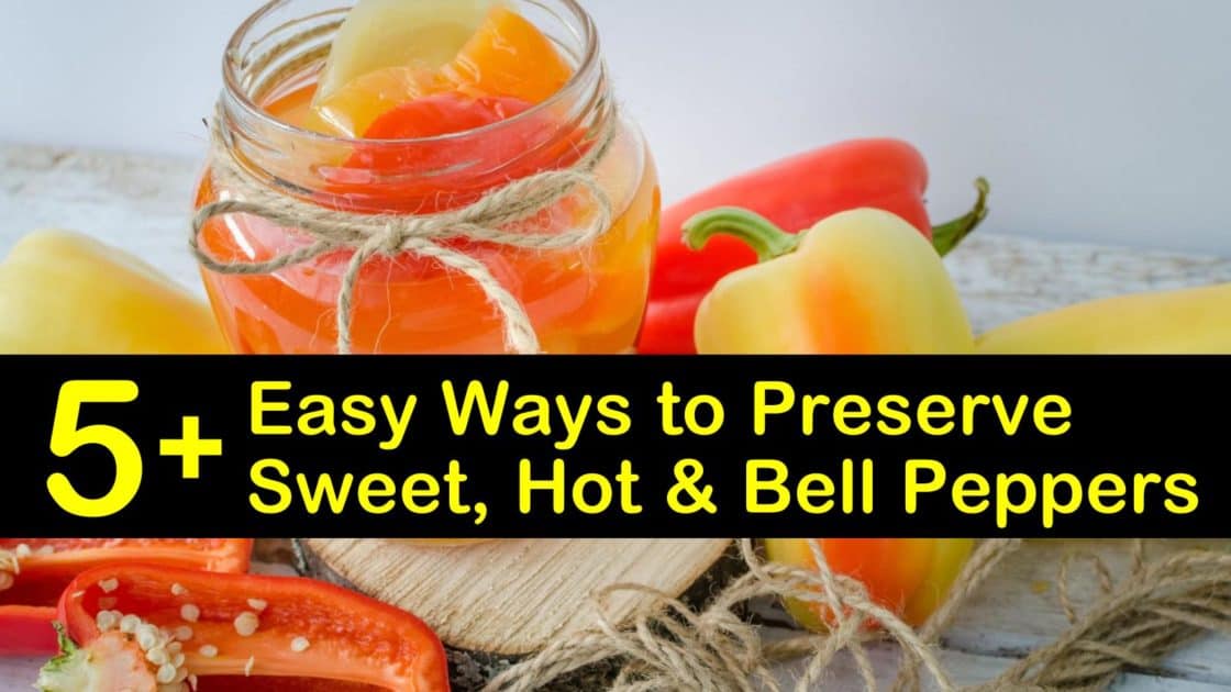 5+ Easy Ways to Preserve Sweet, Hot and Bell Peppers