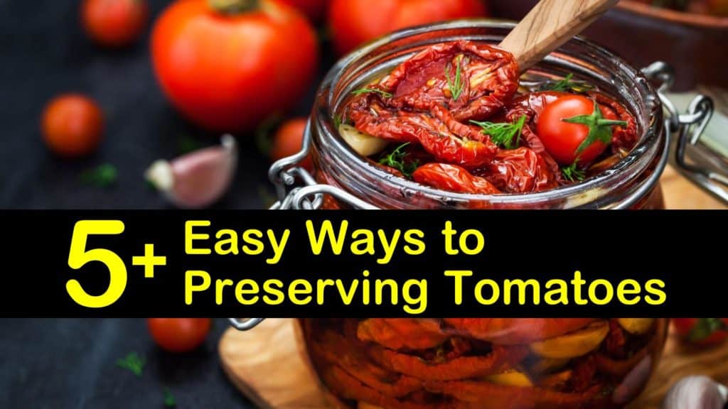 5+ Easy Ways of Preserving Tomatoes