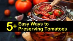 how to preserve tomatoes titleimg1