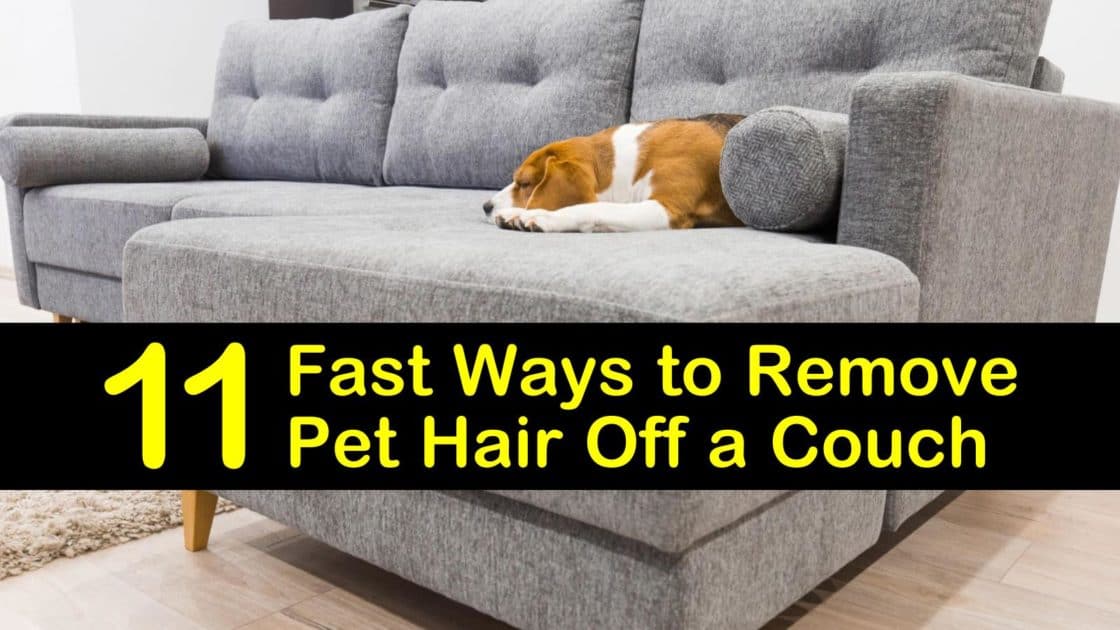 11 Fast Ways To Remove Pet Hair Off A Couch, What Is The Best Fabric For A Sofa When You Have Dog