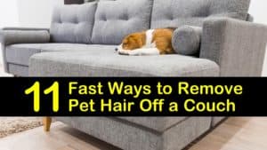 how to remove dog hair from a couch titleimg1