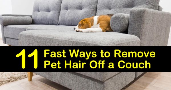 Best How to prevent cat hair on sofa Secretlab Design