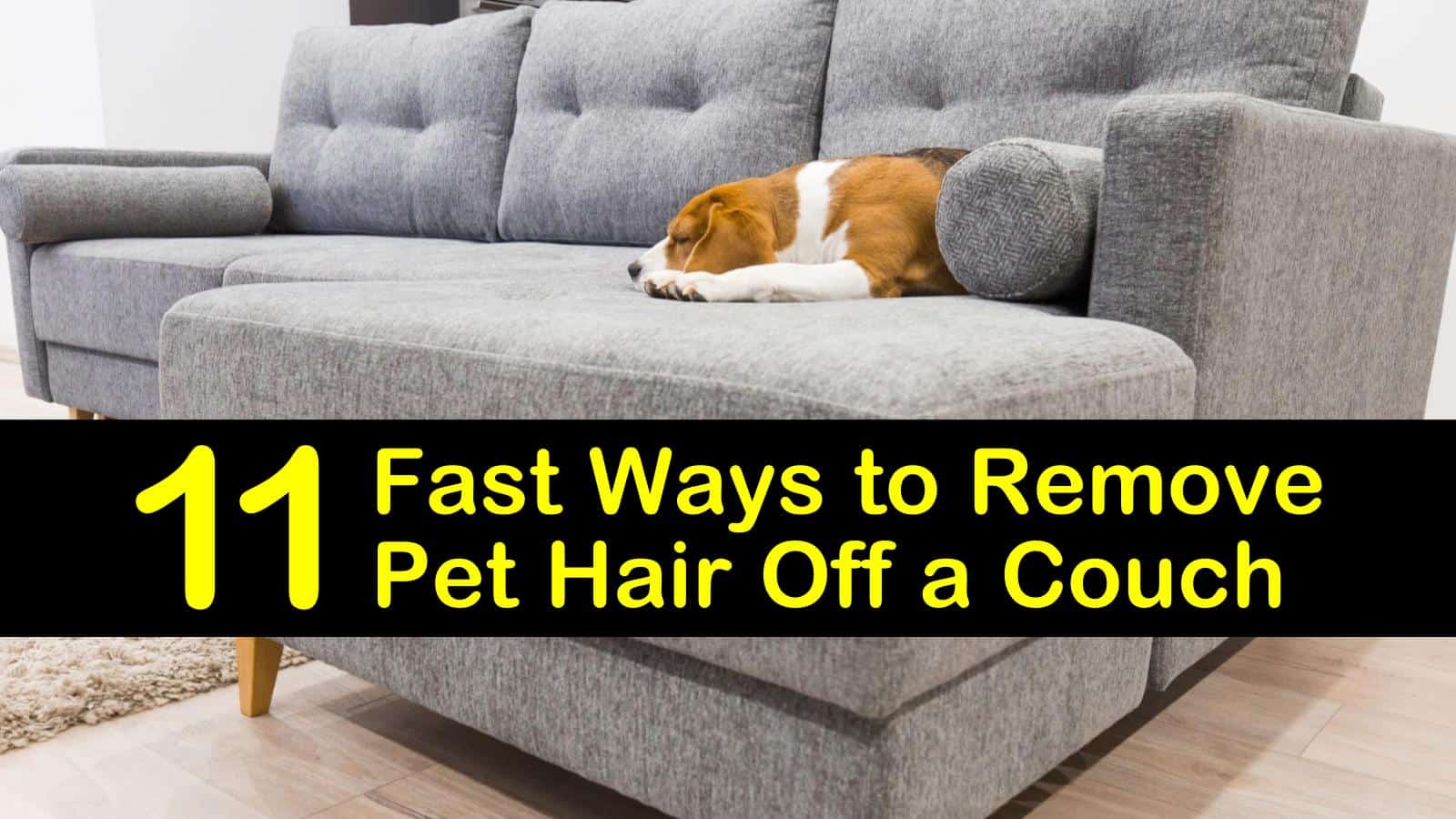 11 Fast Ways To Remove Pet Hair Off A Couch