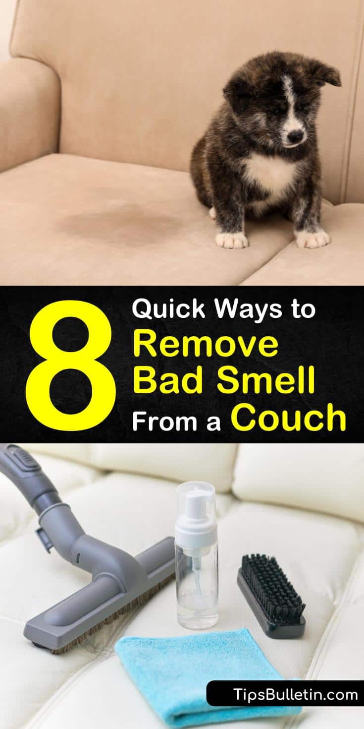 Learn how to remove bad odors from your couch cushions and upholstery by vacuuming, using Febreze, or making a DIY deodorizer. Deodorizing a sofa and cushion covers is easy using baking soda, white vinegar, and essential oil. #sofaodor #removecouchodors #couchsmells