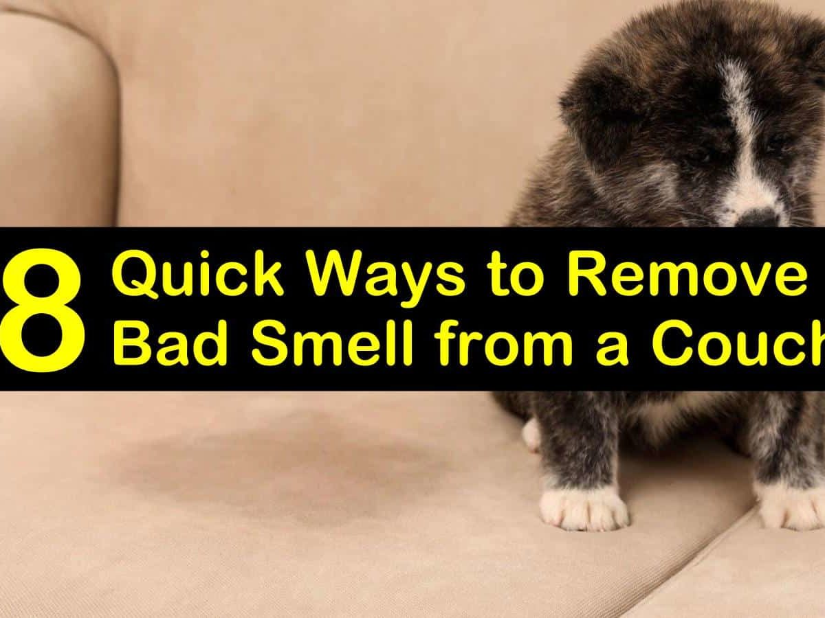 how to get rid of bad smell from fabric sofa