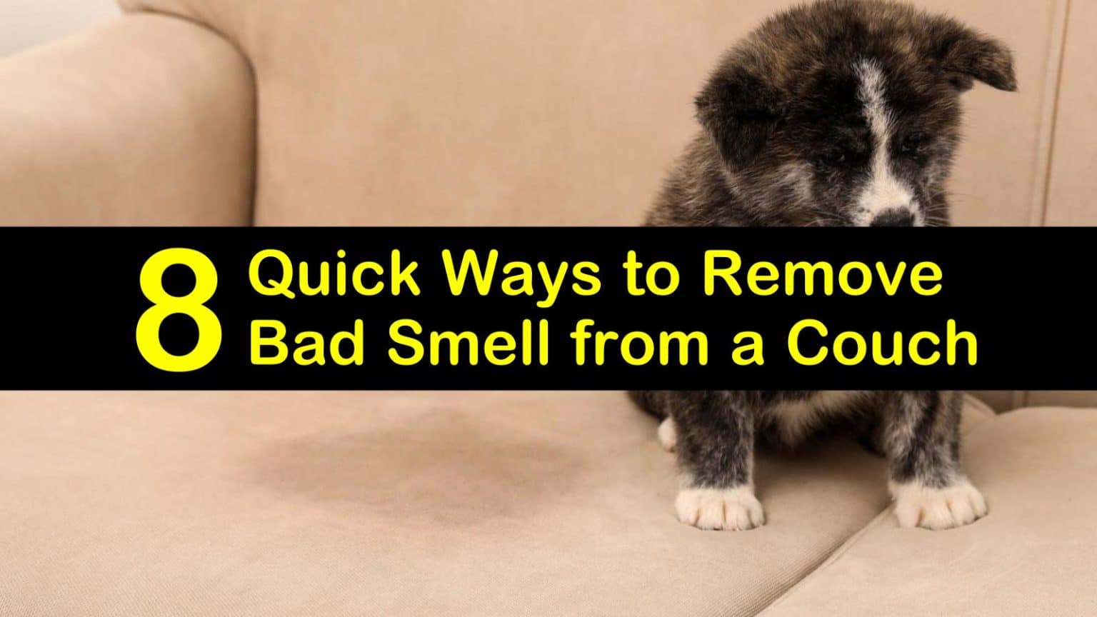 8 Quick Ways to Remove Bad Smell from a Couch