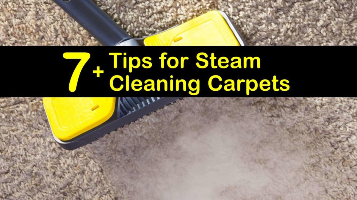 7+ Tips for Steam Cleaning Carpets