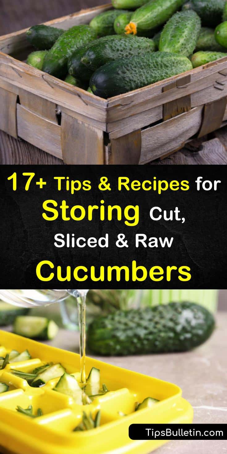 Zucchini, cukes, and other veggies have varying expiration dates depending on how they are stored. Learn how to keep cucumbers crispy at room temperature or refrigerated in the crisper drawer wrapped in a paper towel and plastic wrap. #storingcucumbers #store #cucumber