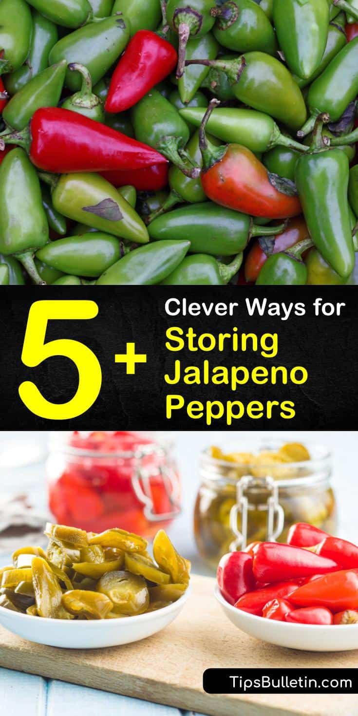 Learn the best ways to store jalapenos so you can enjoy hot peppers year round! With these tips, your jalapeno peppers from your jalapeno plant will never go to waste. #storejalapenos #jalapenos #storingjalapenos