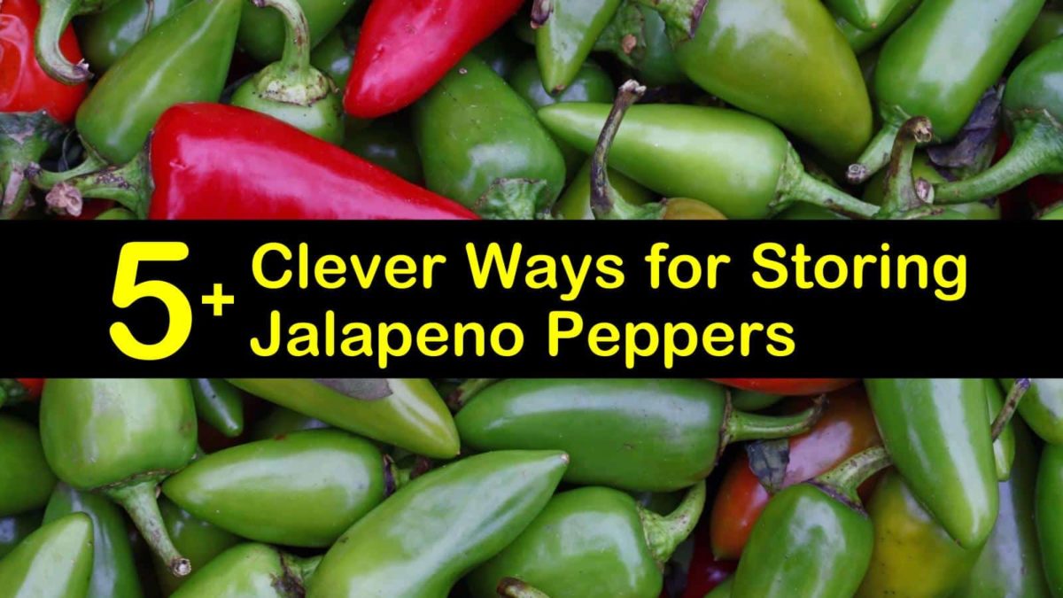 5+ Clever Ways for Storing Jalapeno Peppers