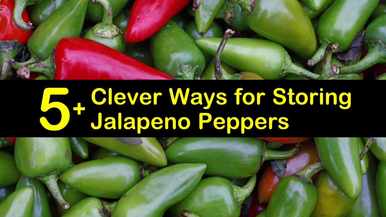 how to store jalapenos titleimg1