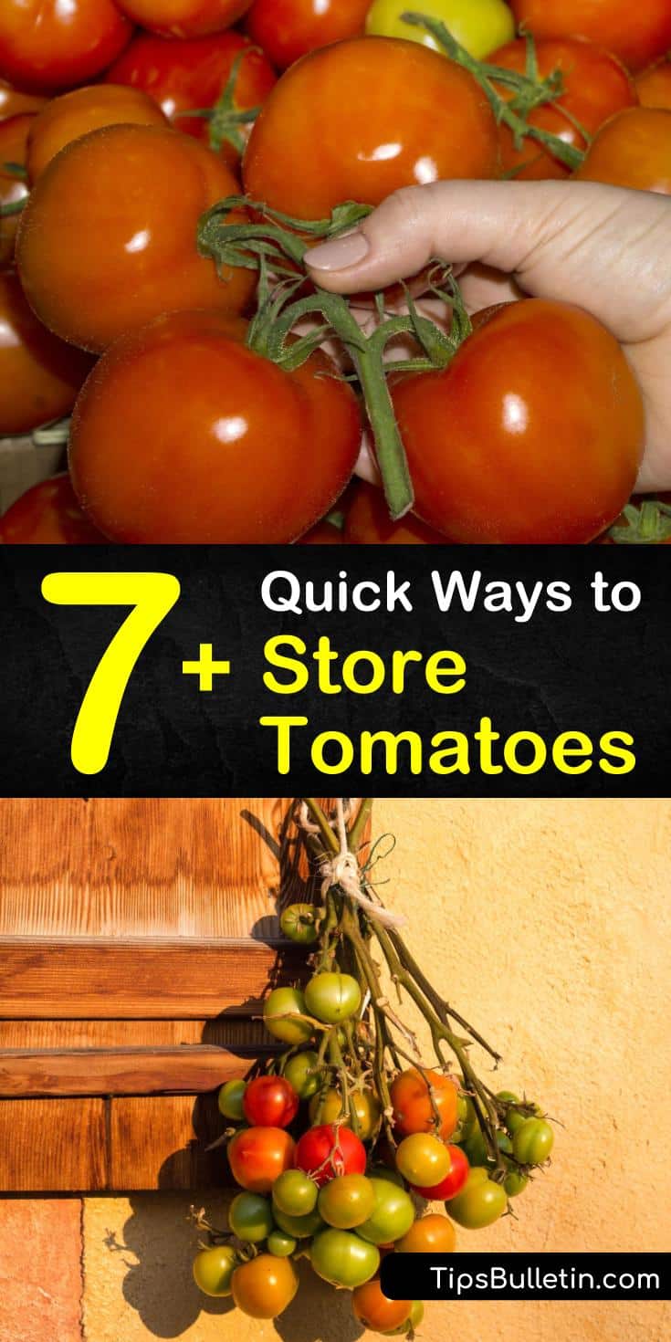 Curious about how to store tomatoes straight from the farmers market? Whether storing green tomatoes in a paper bag until they achieve ripeness, or preserving fresh tomatoes long term in the freezer, we have the information here. Also try canning and dehydrating tomatoes. #howto #store #tomatoes