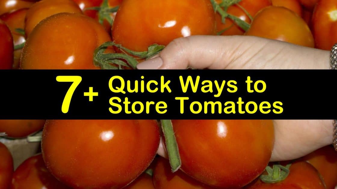 7+ Quick Ways to Store Tomatoes