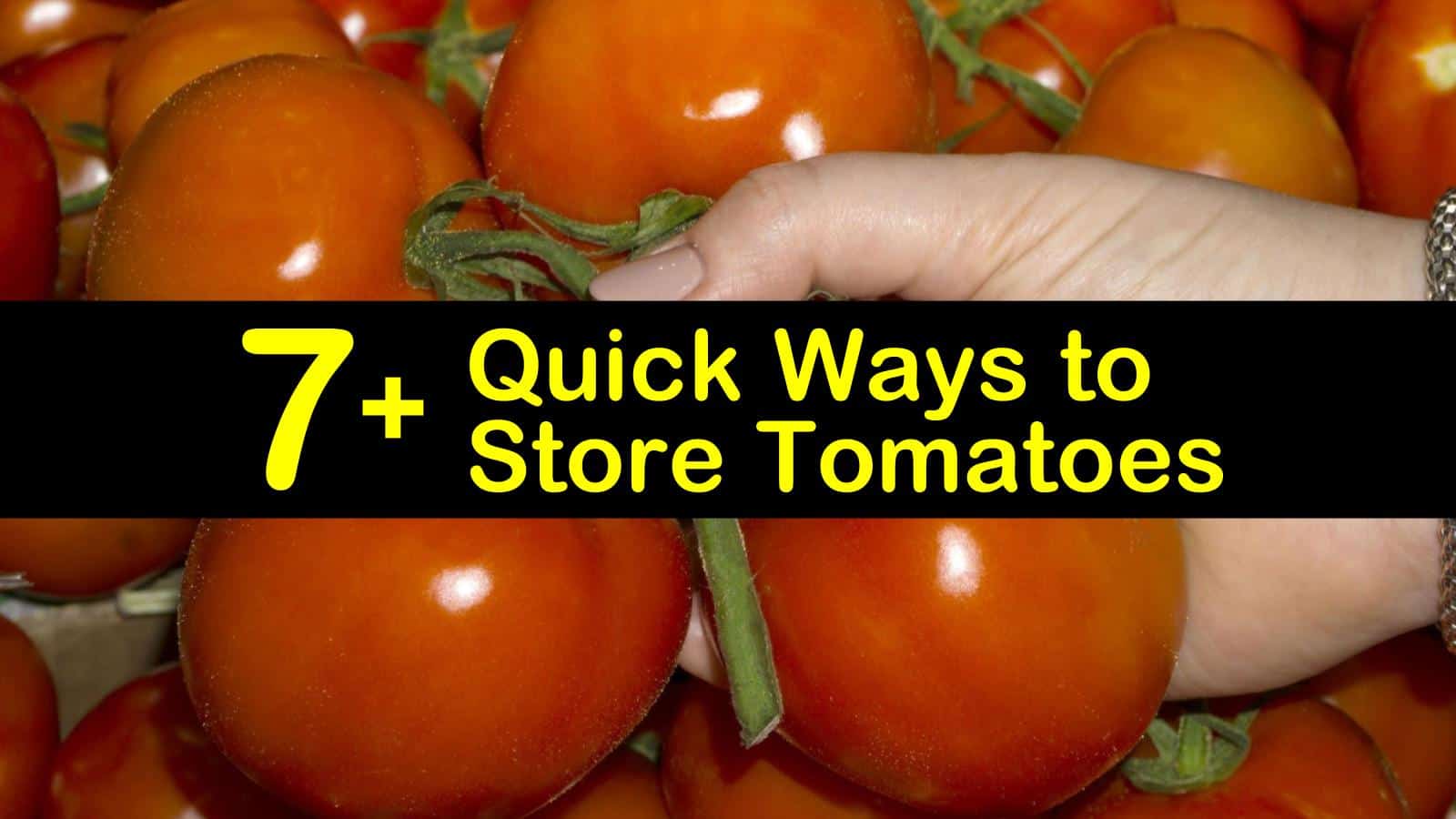 how to store tomatoes titleimg1