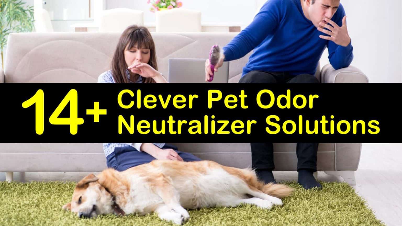 14+ Clever Pet Odor Neutralizer Solutions