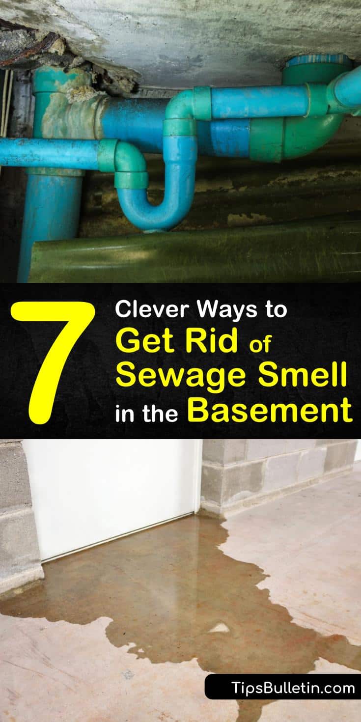 Get rid of sewer smell in basement areas for good by identifying common plumbing problems. Examine sewer line issues, defective wax rings, and broken p-traps to get to the source of sewage smell. Know the health effects of sewer gases and when to call a professional. #sewer #smell #basement