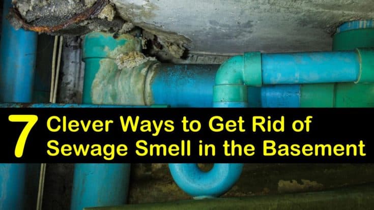 7 Clever Ways to Get Rid of Sewage Smell in the Basement