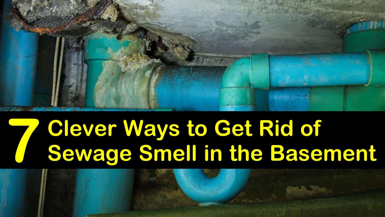 7 Clever Ways to Get Rid of Sewage Smell in the Basement