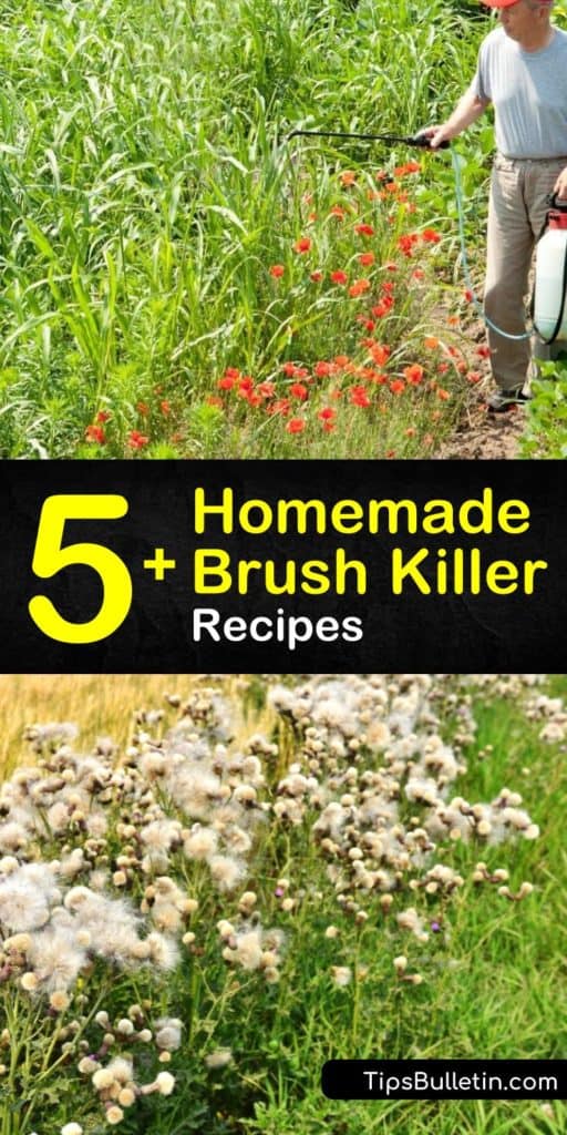 Discover your new favorite homemade brush killer with simple-to-follow recipes and tips. Create your own DIY herbicide using vinegar, Borax, or gin. If homemade recipes are not your style, then learn the best store-bought chemicals to use and how to use them. #homemade #brush #killer