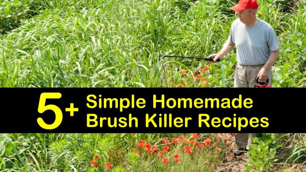 homemade brush killer titleimg1