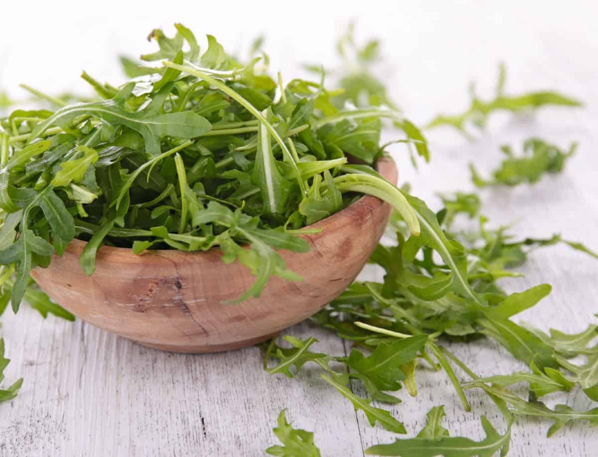 arugula is a tangy salad green that is easy to grow