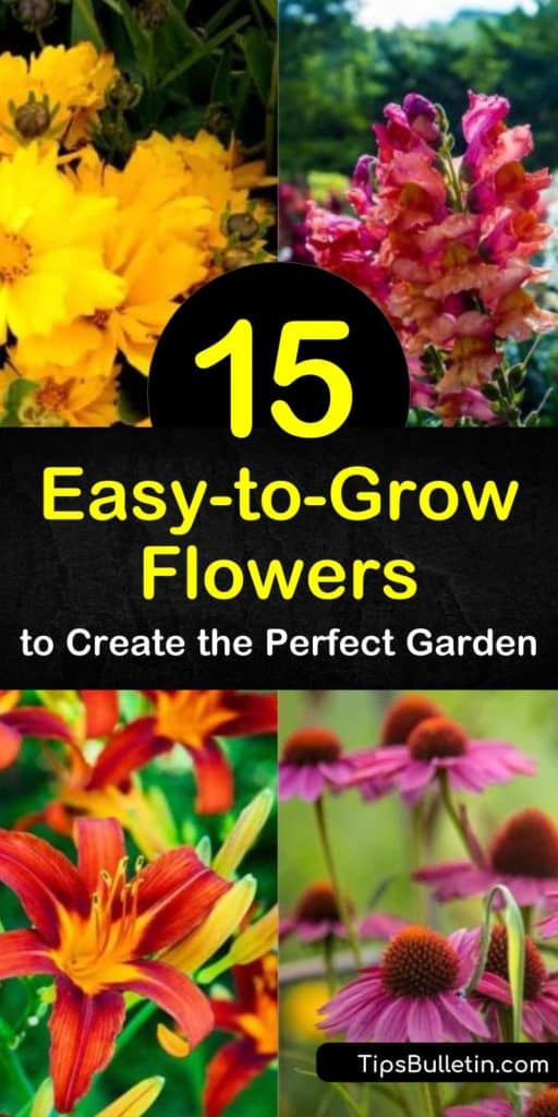 Discover the joy of growing daylilies, geraniums, zinnias, and other easy-to-grow flowers in the garden. We’ll show you how to grow low maintenance and drought tolerant flowers for a colorful display of blooms from early summer to fall. #easytogrowflowers #easy #grow #flowers